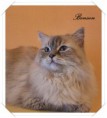 /album/fenykepgaleria/benson-2015-01-05-001-jpg/
